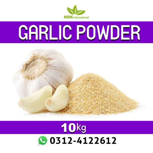 Dry Garlic Powder – 10kg Loose Pack | Premium Organic Garlic Spice for Cooking